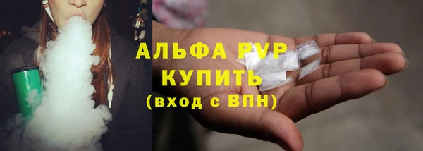 прущие грибы Шарыпово