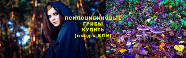 тгк Кодинск