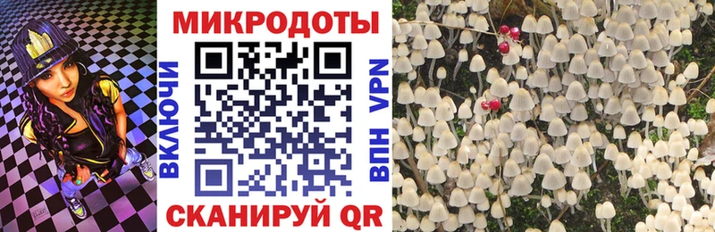Галлюциногенные грибы Magic Shrooms  Новосибирск 